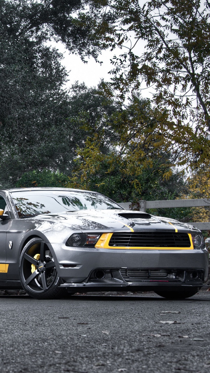 Обои Шелби Мустанг, авто, ford gt, компания Ford, тюнинг автомобилей в разрешении 720x1280