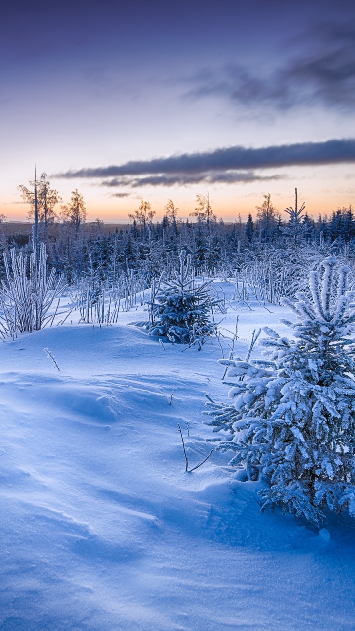 Обои зима, снег, замораживание, атмосфера, тундра в разрешении 720x1280