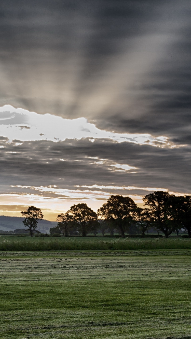 Обои футбольное поле, американский футбол, природа, облако, сенокосное угодье в разрешении 750x1334