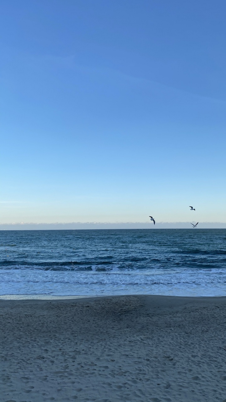 Обои море, Onoville Marina Park, Onoville, пляж, палаточный лагерь в разрешении 720x1280