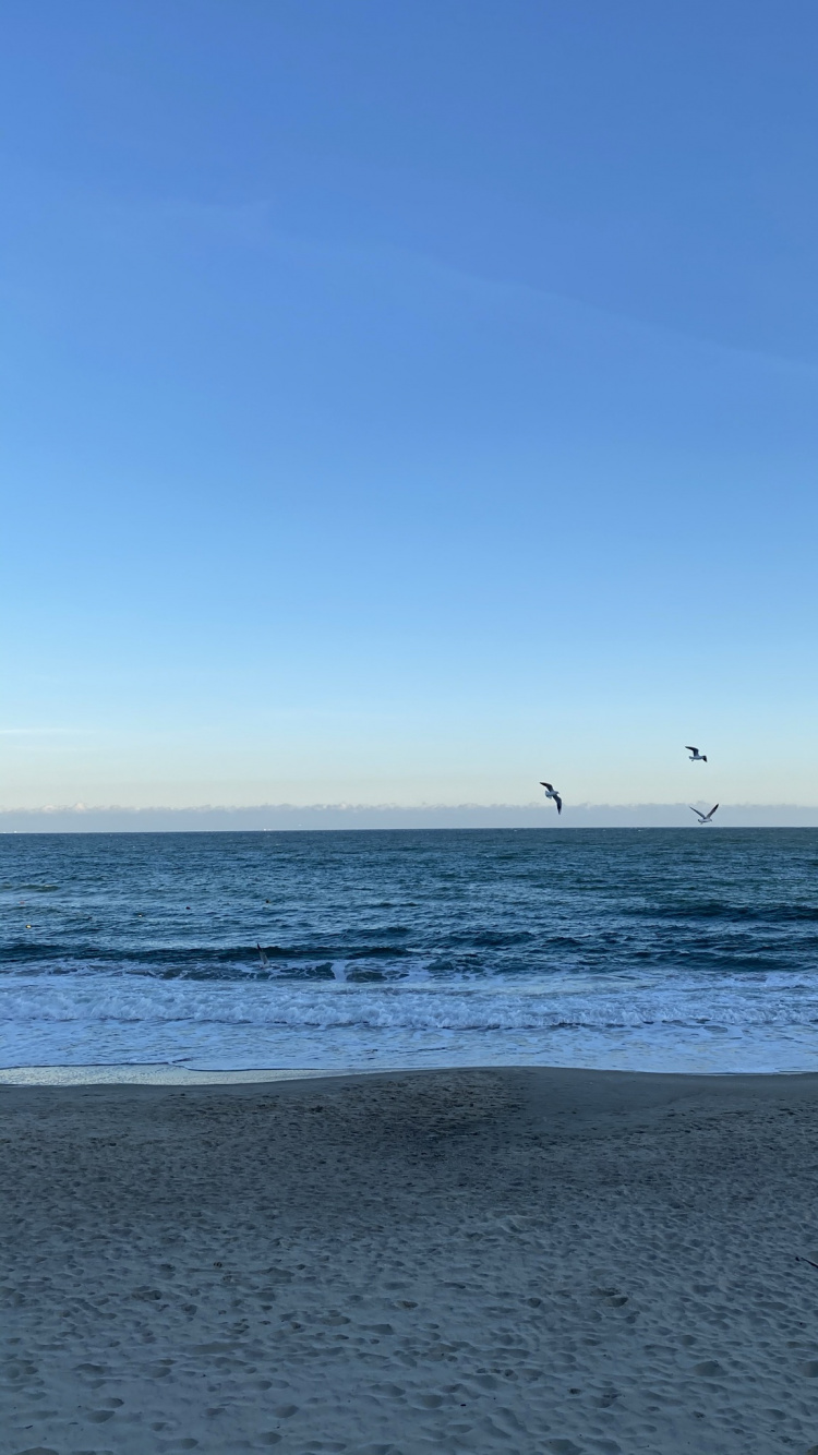 Обои море, Onoville Marina Park, Onoville, пляж, палаточный лагерь в разрешении 750x1334