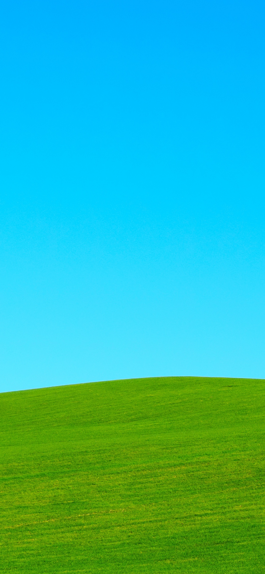 Обои небо, окружающая среда, природный ландшафт, Инвертор, сенокосное угодье в разрешении 1125x2436