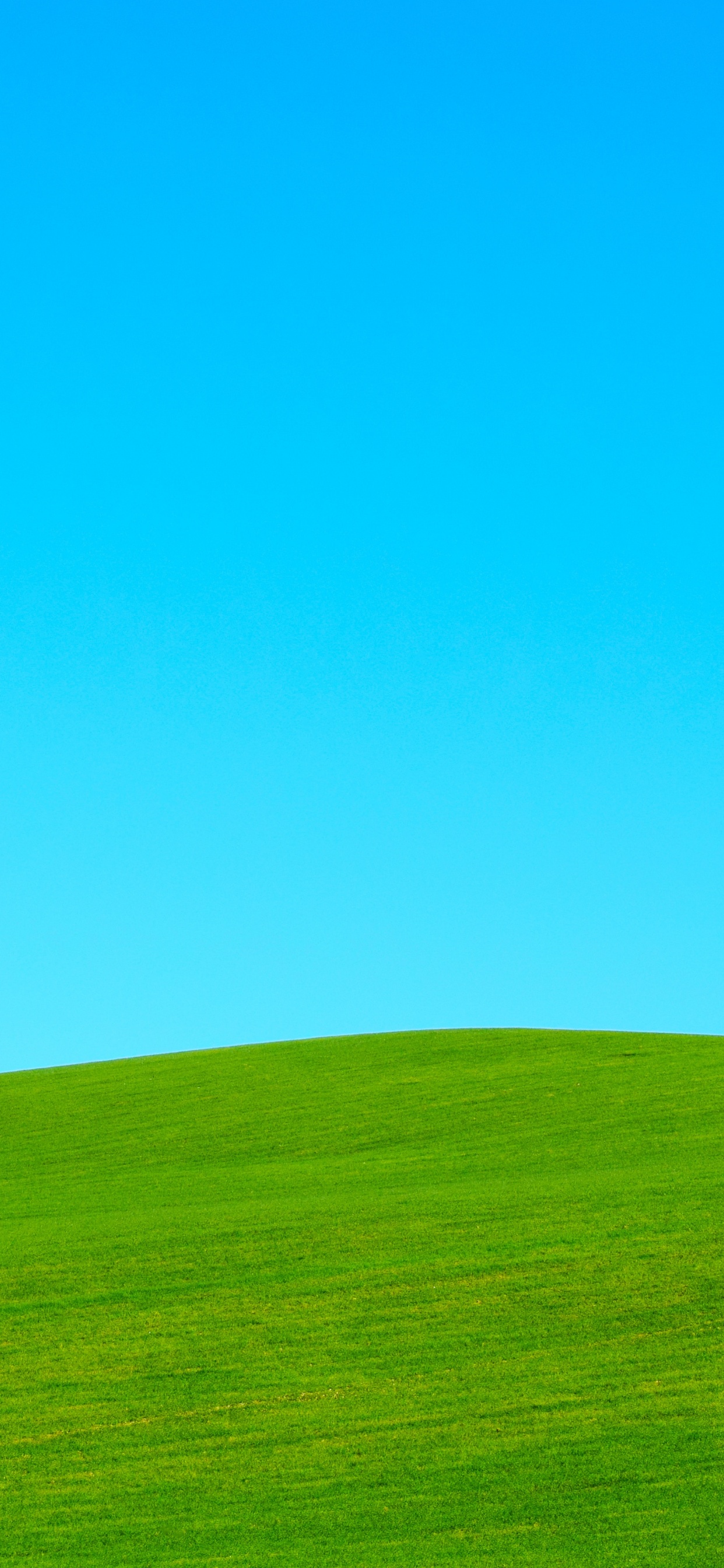 Обои небо, окружающая среда, природный ландшафт, Инвертор, сенокосное угодье в разрешении 1242x2688