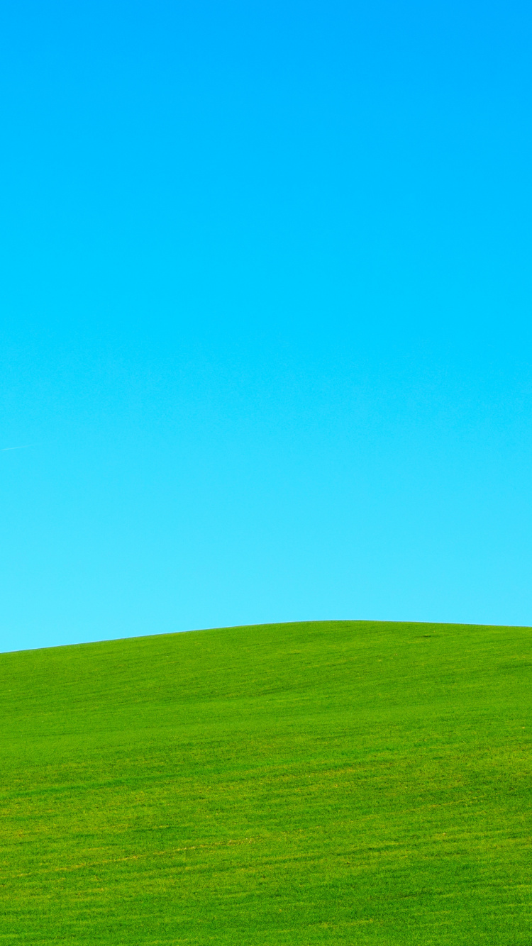 Обои небо, окружающая среда, природный ландшафт, Инвертор, сенокосное угодье в разрешении 750x1334