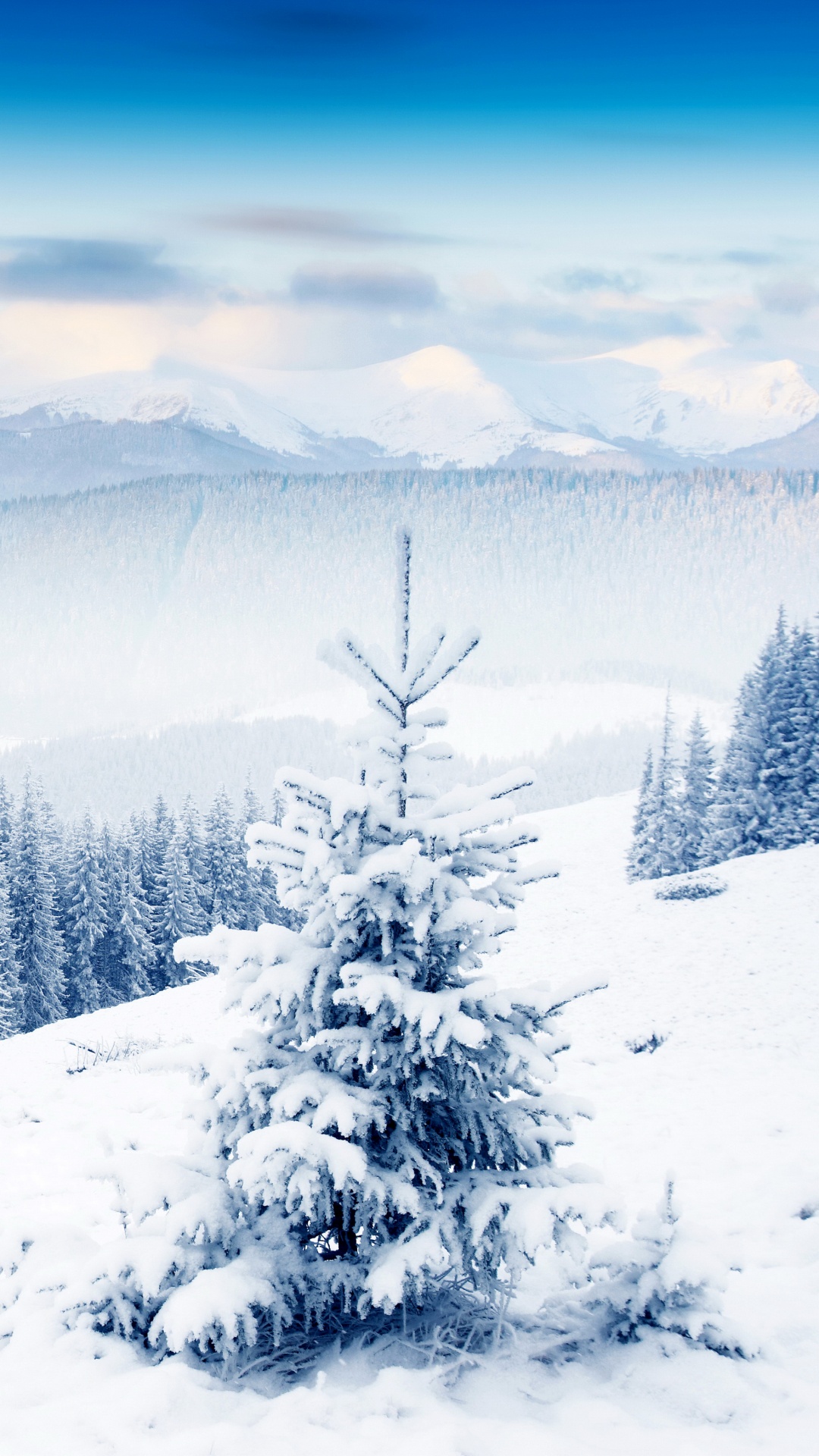 Обои зима, снег, дерево, гора, замораживание в разрешении 1080x1920