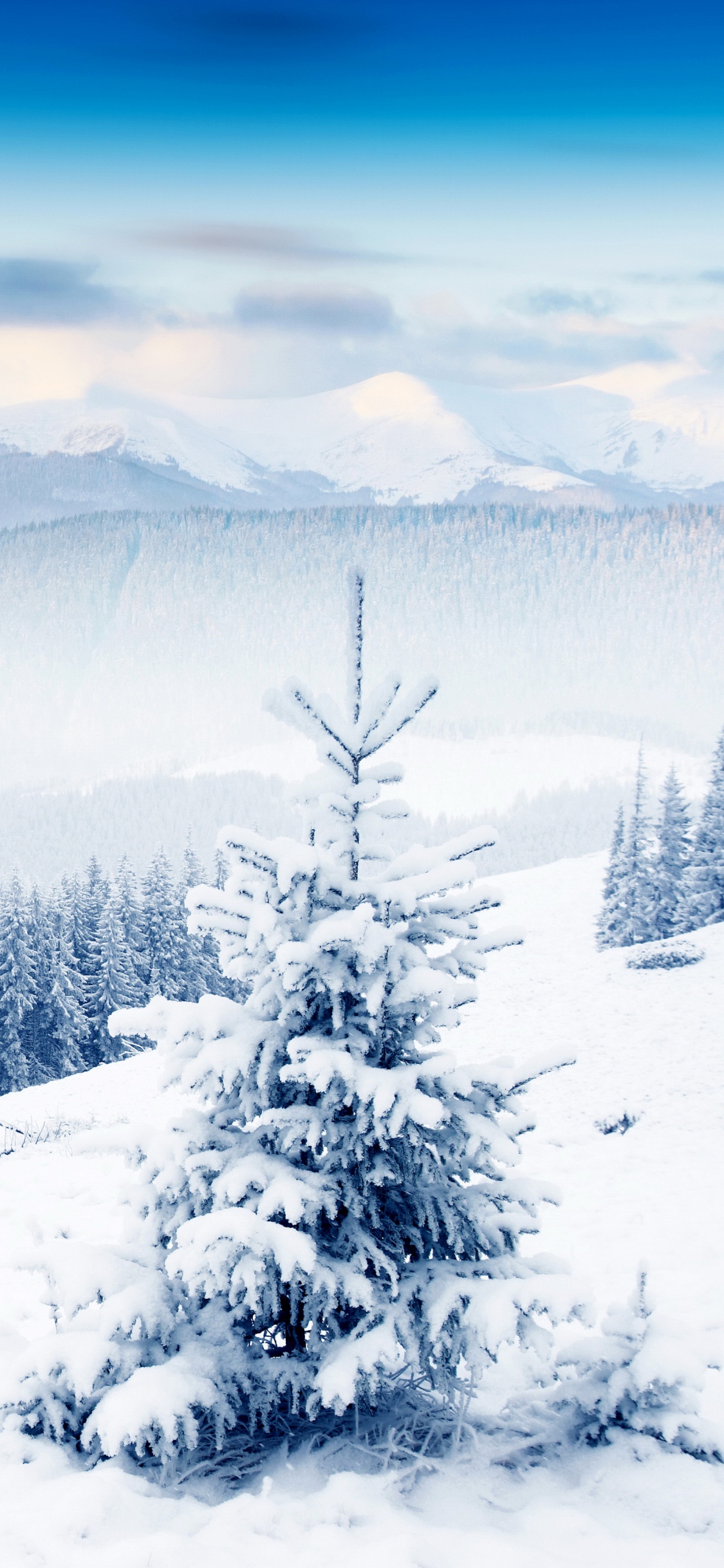 Обои зима, снег, дерево, гора, замораживание в разрешении 1125x2436
