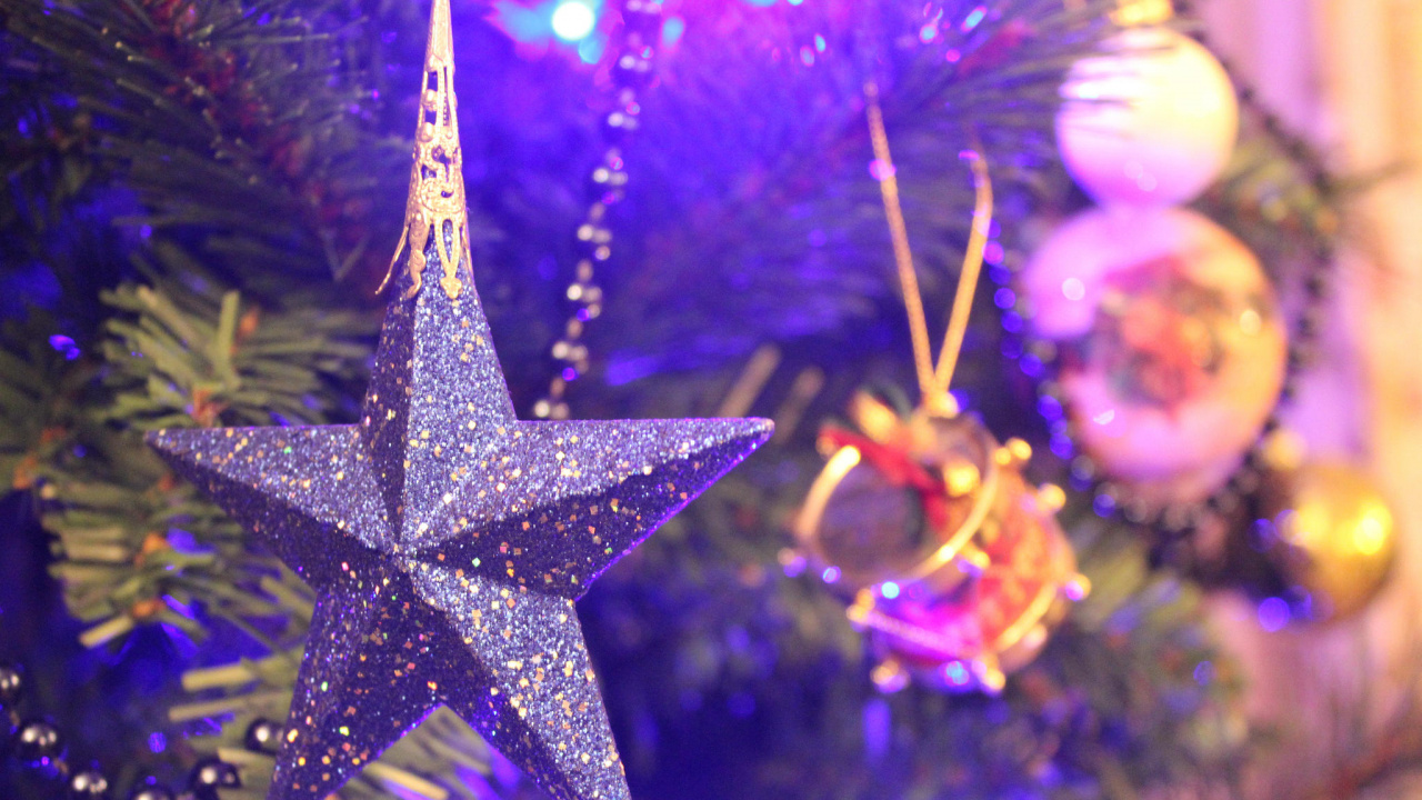 Обои елка, пурпур, Рождество, Рождественские украшения, Фиолетовый в разрешении 1280x720