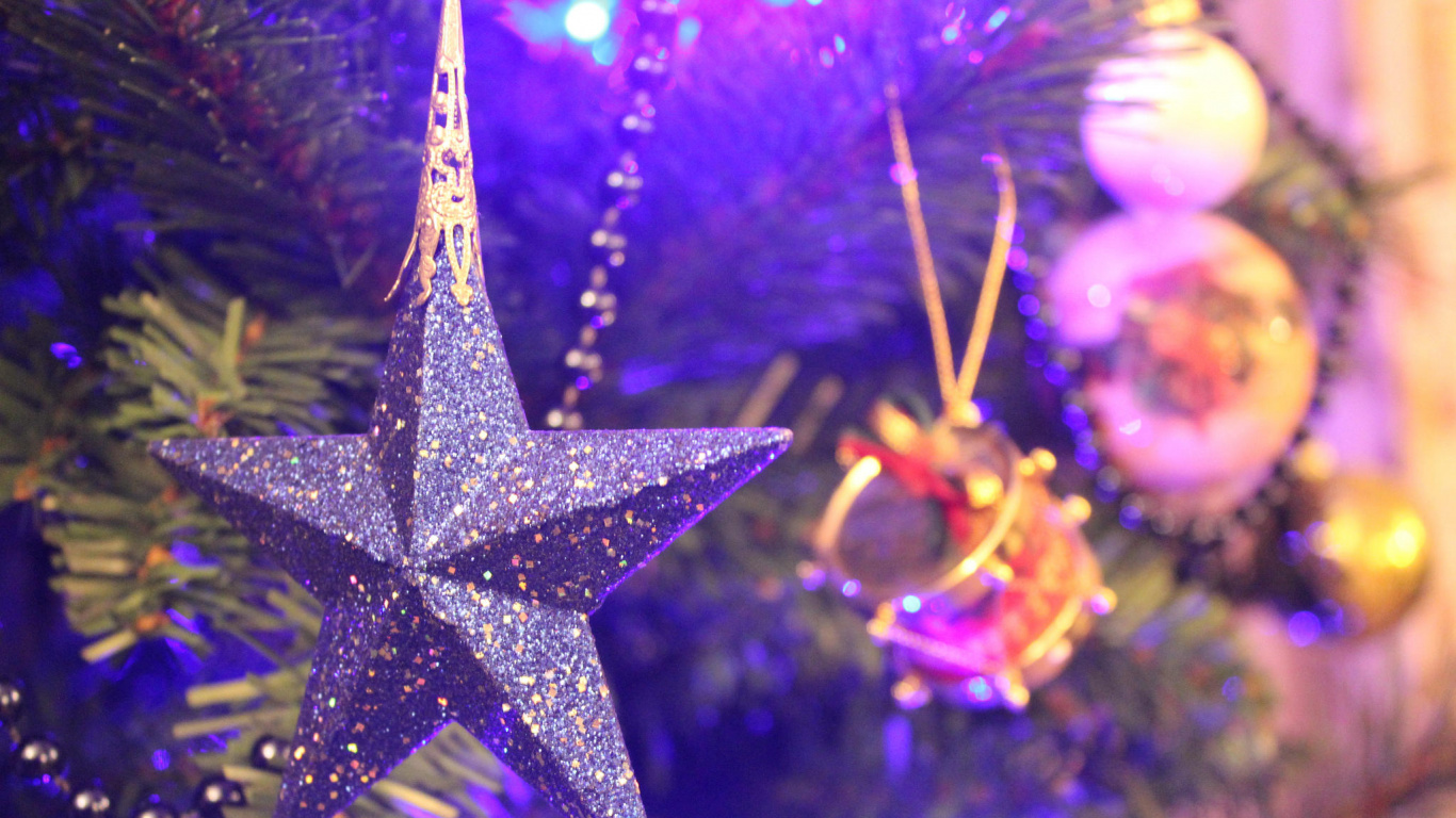 Обои елка, пурпур, Рождество, Рождественские украшения, Фиолетовый в разрешении 1366x768
