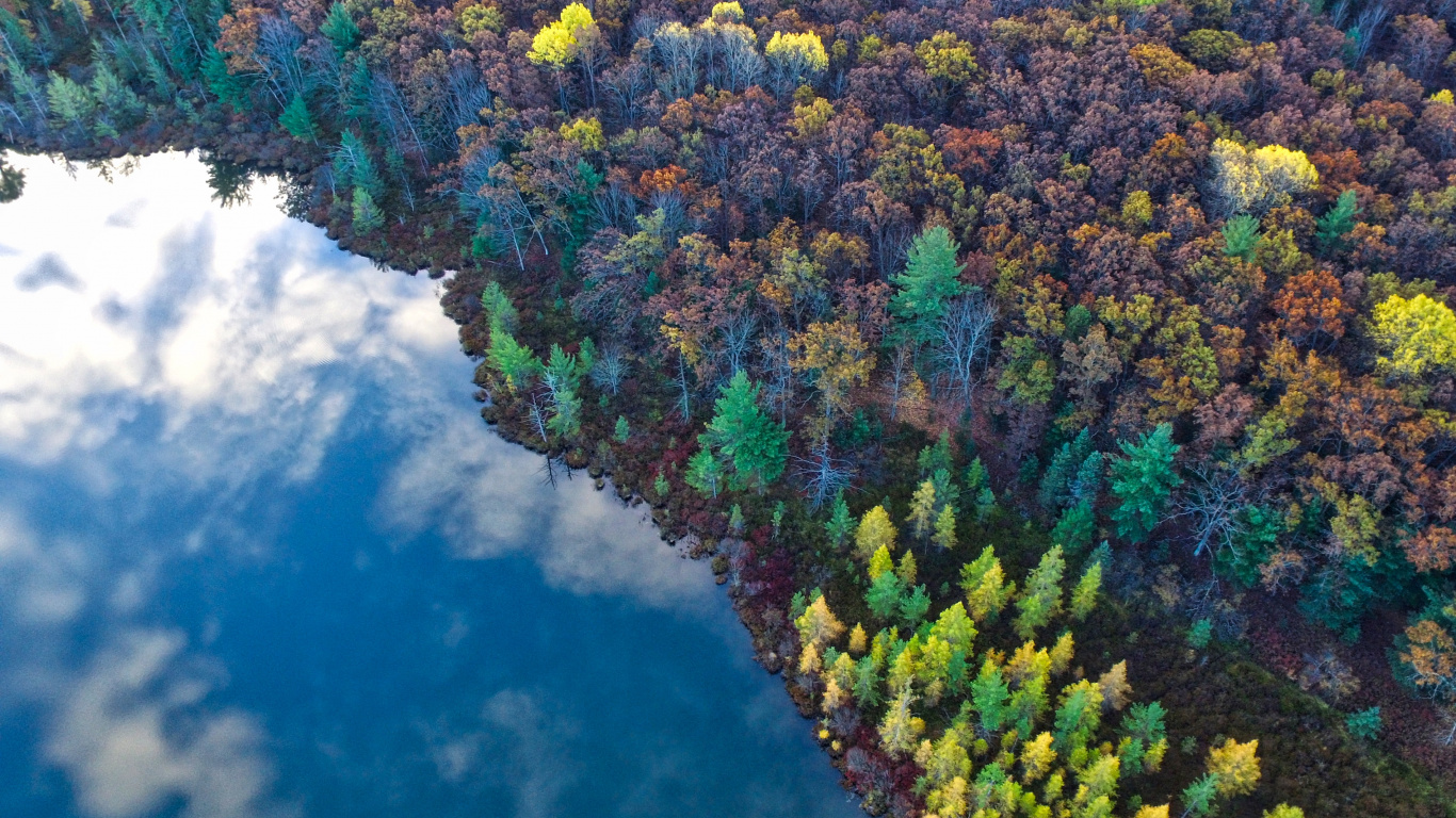 Обои природа, растительность, вода, биом, реки в разрешении 1366x768