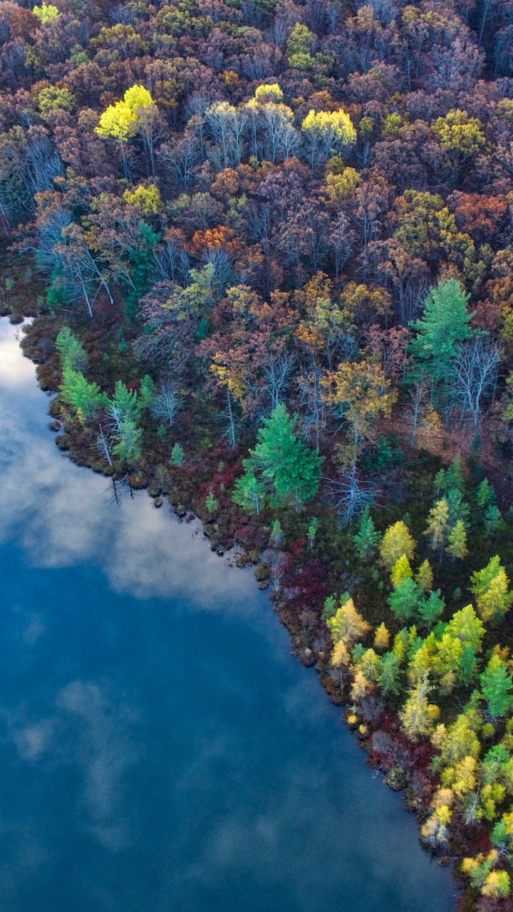 Обои природа, растительность, вода, биом, реки в разрешении 720x1280