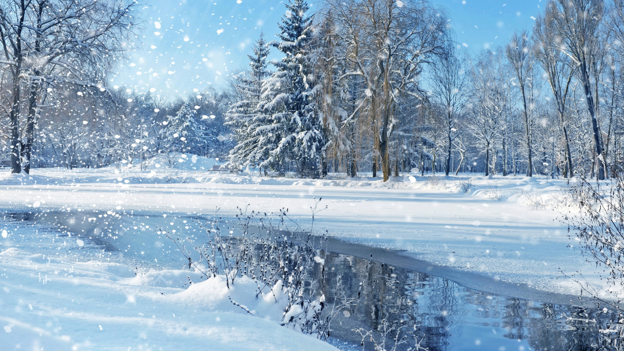 Обои Рождественский день, снег, зима, природа, дерево в разрешении 1280x720