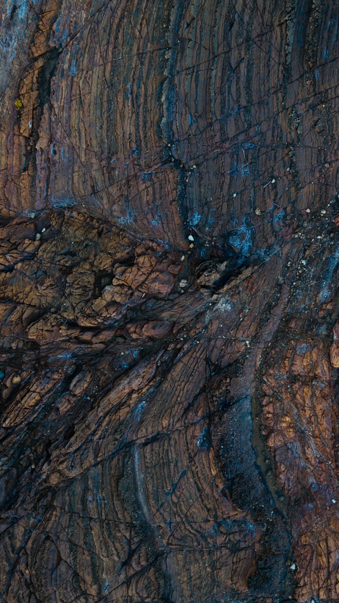 Обои текстура, древесина, дерево, рок, формирование в разрешении 1080x1920