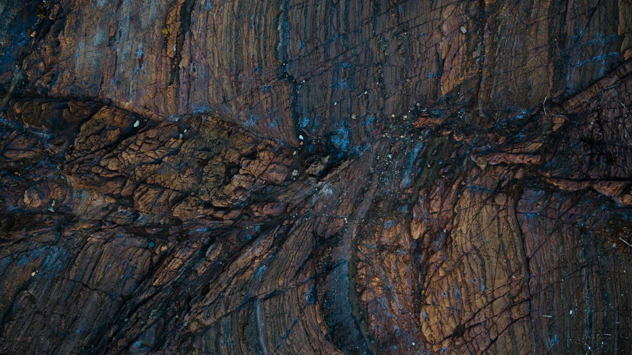 Обои текстура, древесина, дерево, рок, формирование в разрешении 1280x720