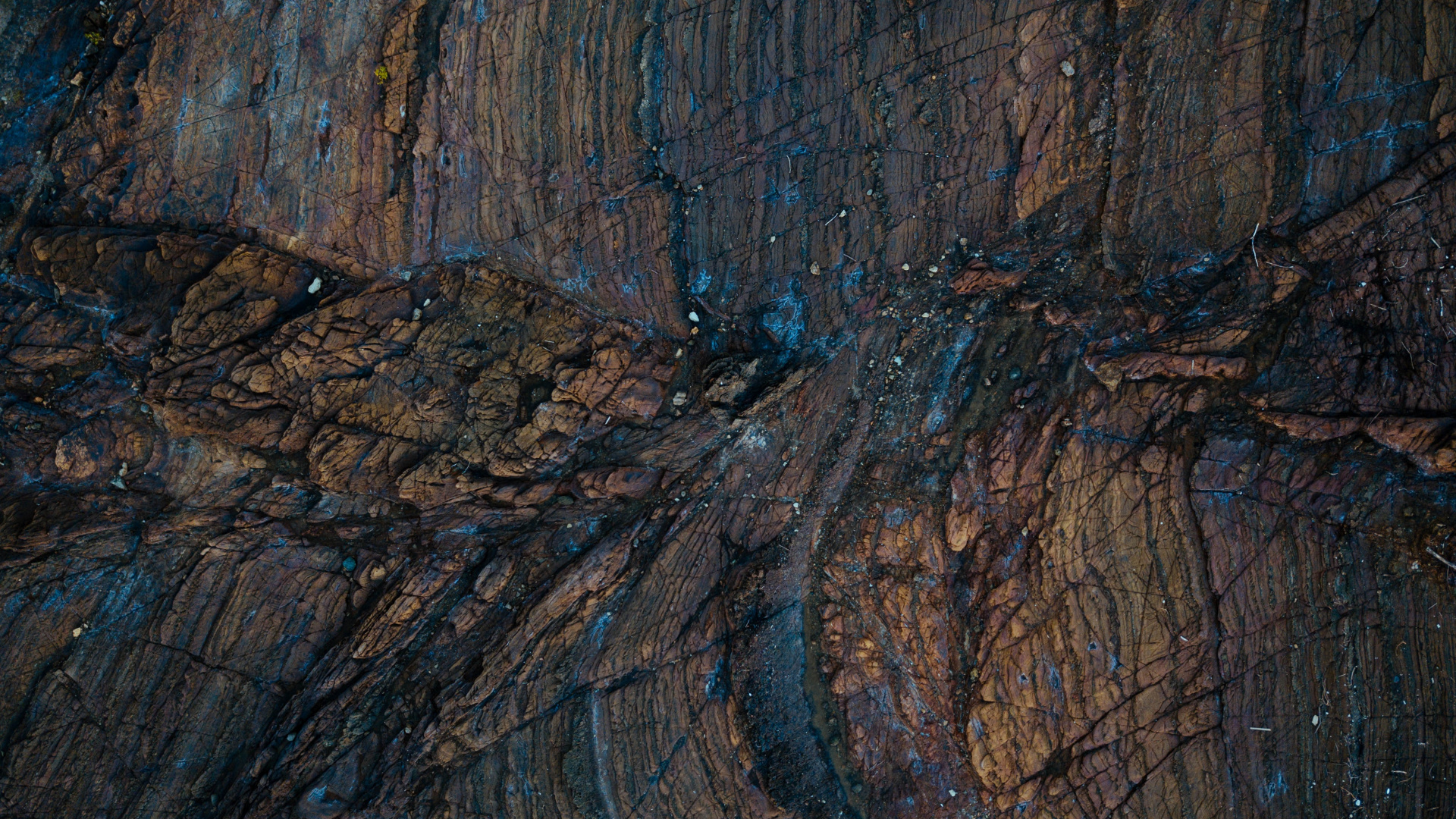 Обои текстура, древесина, дерево, рок, формирование в разрешении 1920x1080