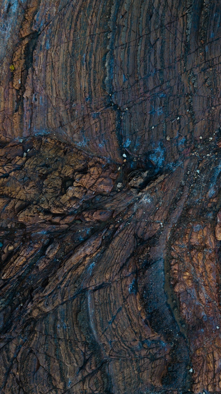 Обои текстура, древесина, дерево, рок, формирование в разрешении 720x1280