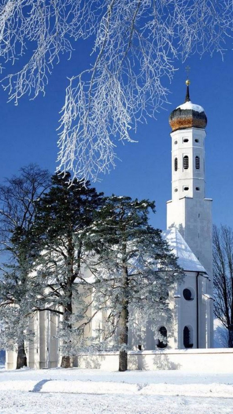 Обои зима, снег, дерево, замораживание, ориентир в разрешении 750x1334