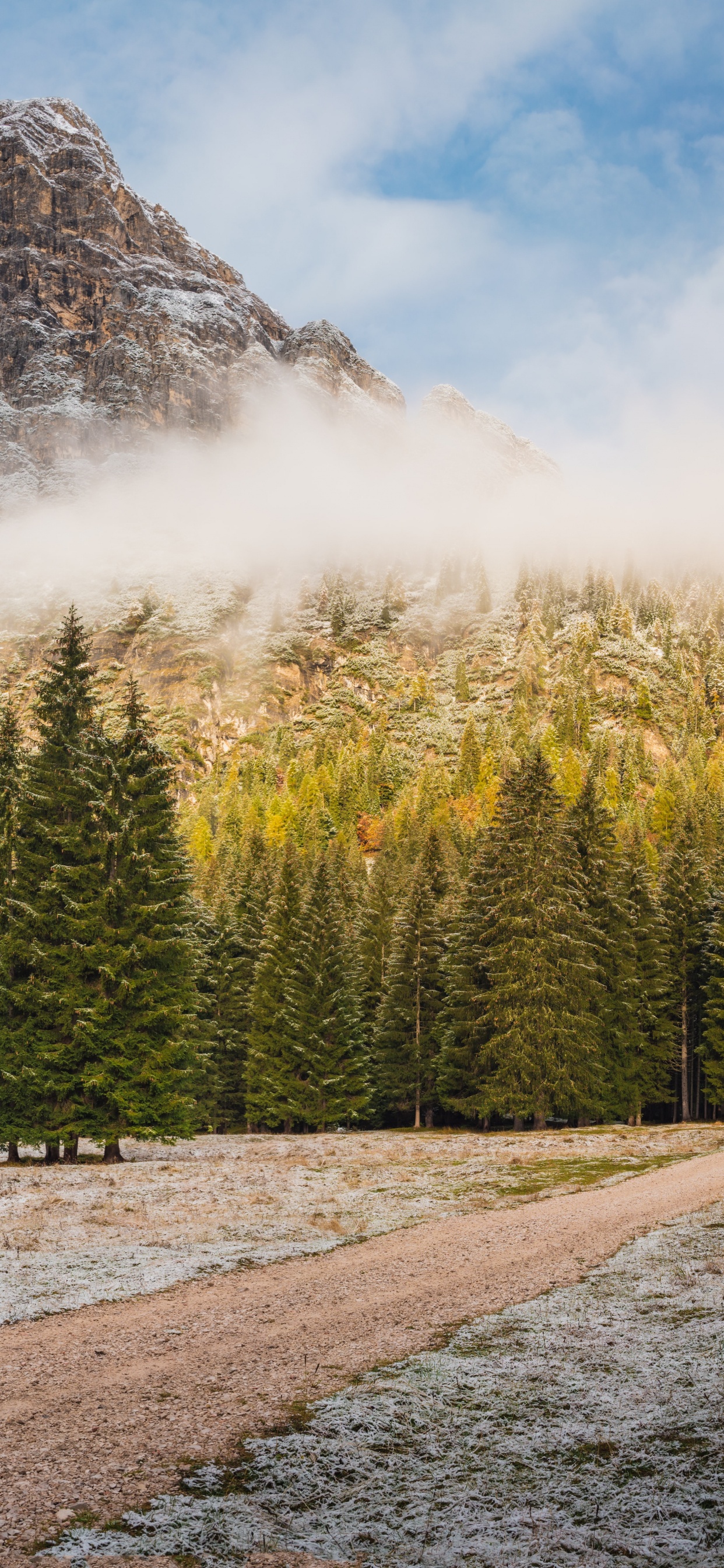 Обои природа, Брендовый домашний цветной ковер блок 018, облако, растение, гора в разрешении 1242x2688