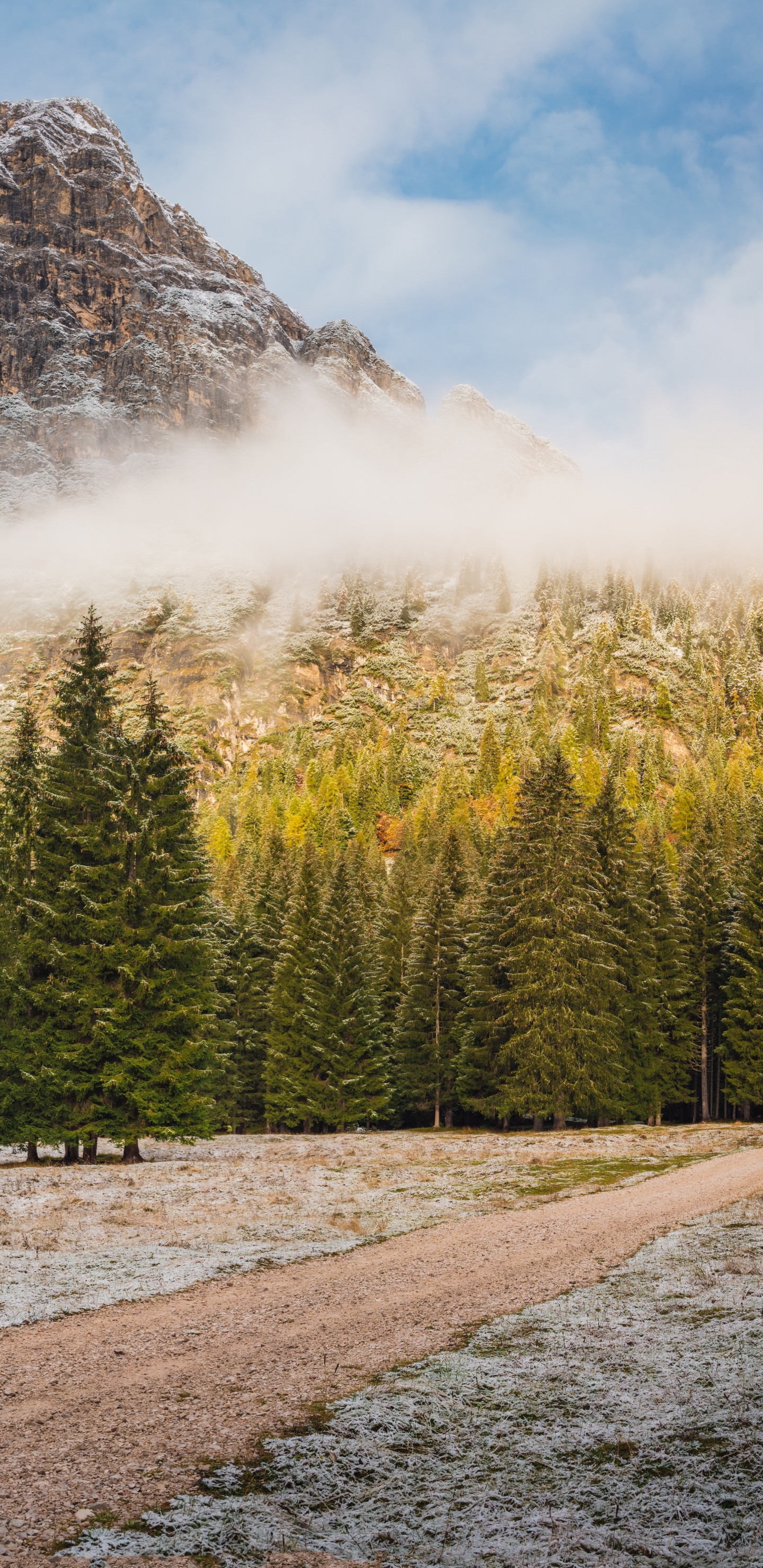 Обои природа, Брендовый домашний цветной ковер блок 018, облако, растение, гора в разрешении 1440x2960