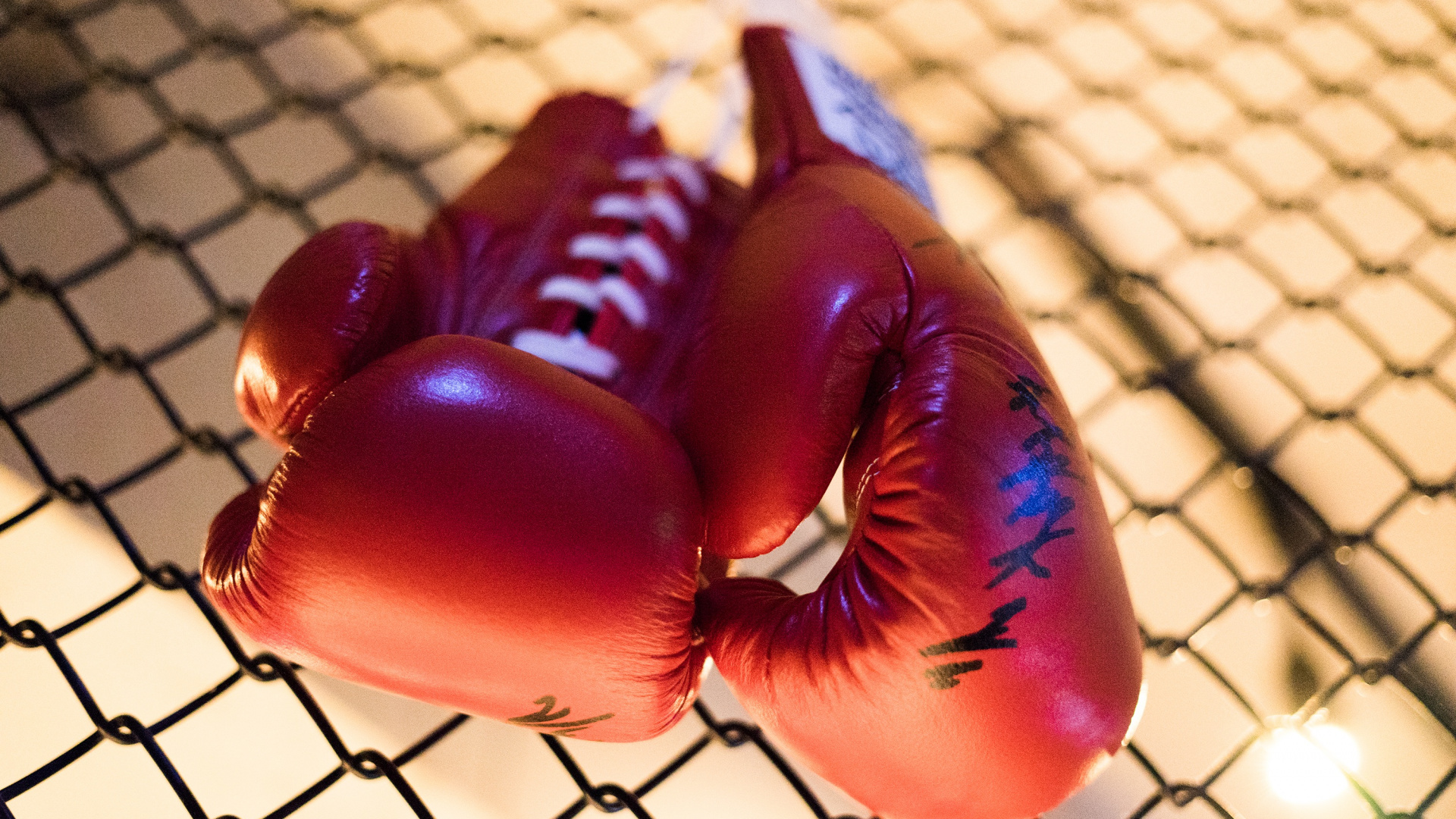 Обои бокс, боксерская перчатка, перчатка, новость, бой в разрешении 1920x1080
