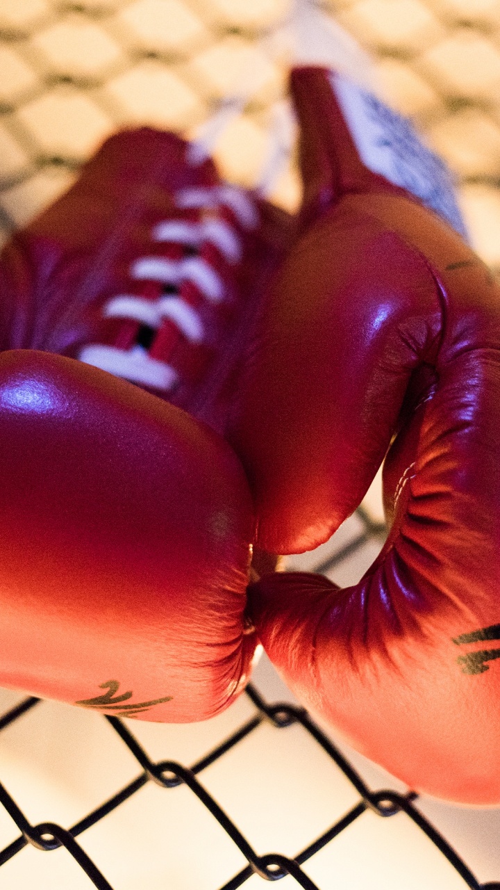 Обои бокс, боксерская перчатка, перчатка, новость, бой в разрешении 720x1280