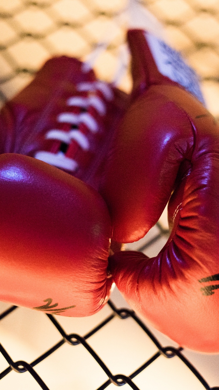 Обои бокс, боксерская перчатка, перчатка, новость, бой в разрешении 750x1334