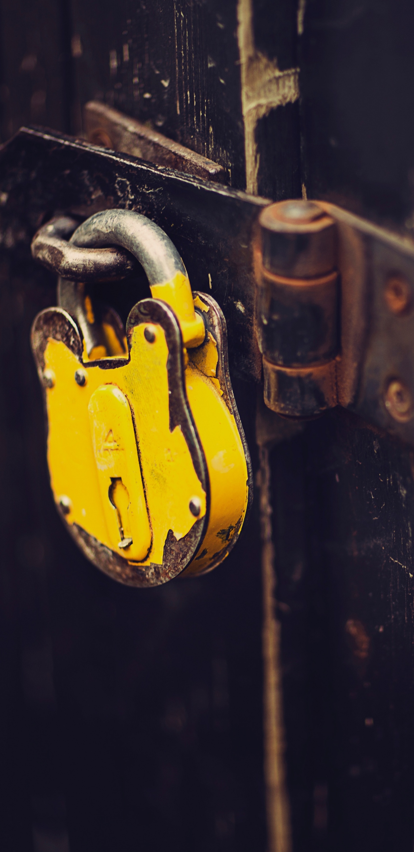 Обои замок навесной, желтый, натюрморт, блог, замок в разрешении 1440x2960