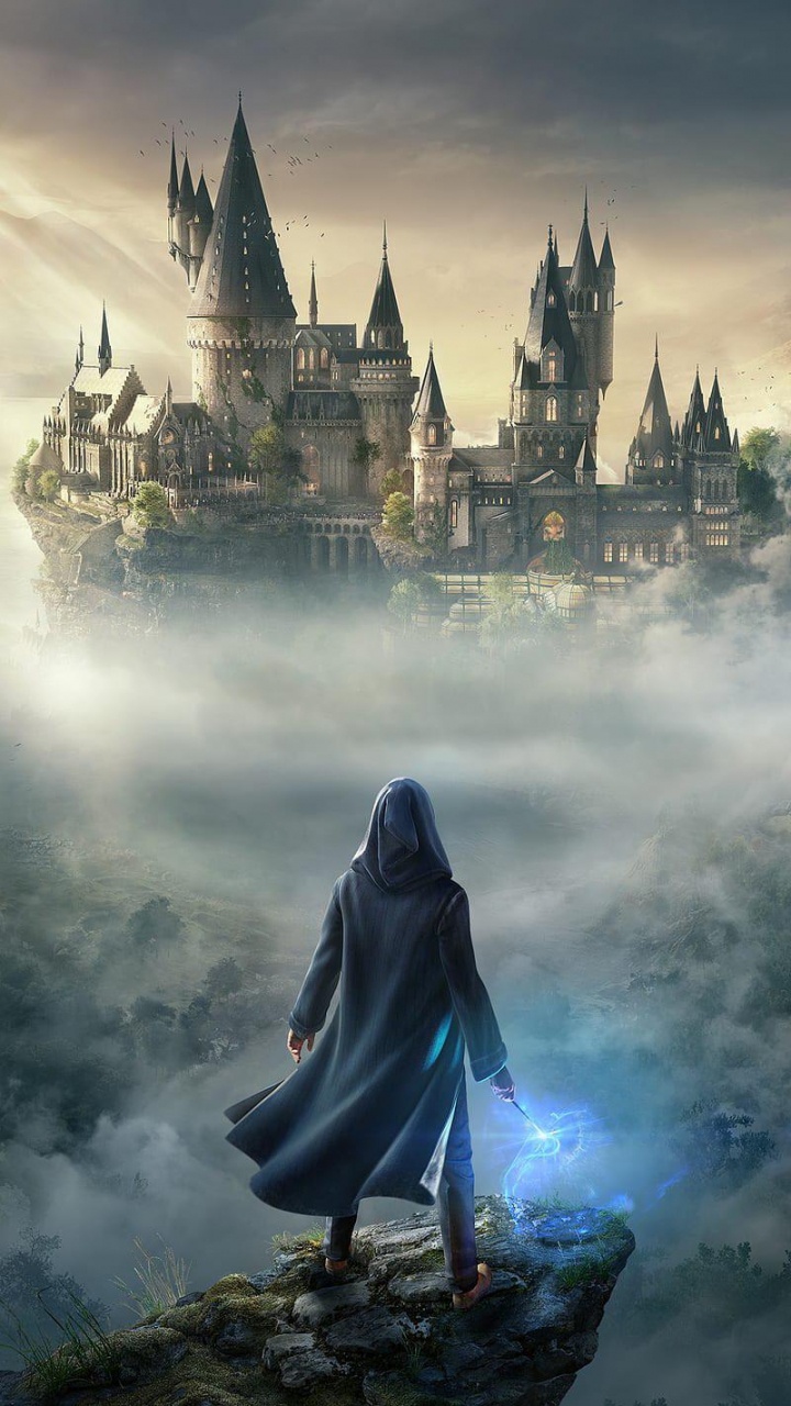 Обои наследие Хогвартса, Дж К Роулинг, Гарри Поттер, чемпионы по квиддичу, Гарри Поттер, Уорнер Бразерс в разрешении 720x1280