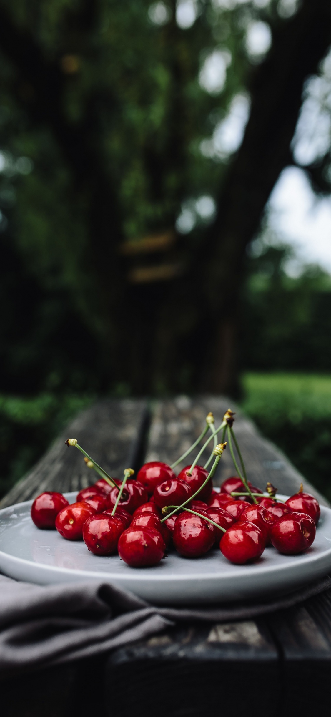 Обои вишня, фрукты, пища, красный цвет, ягоды в разрешении 1125x2436