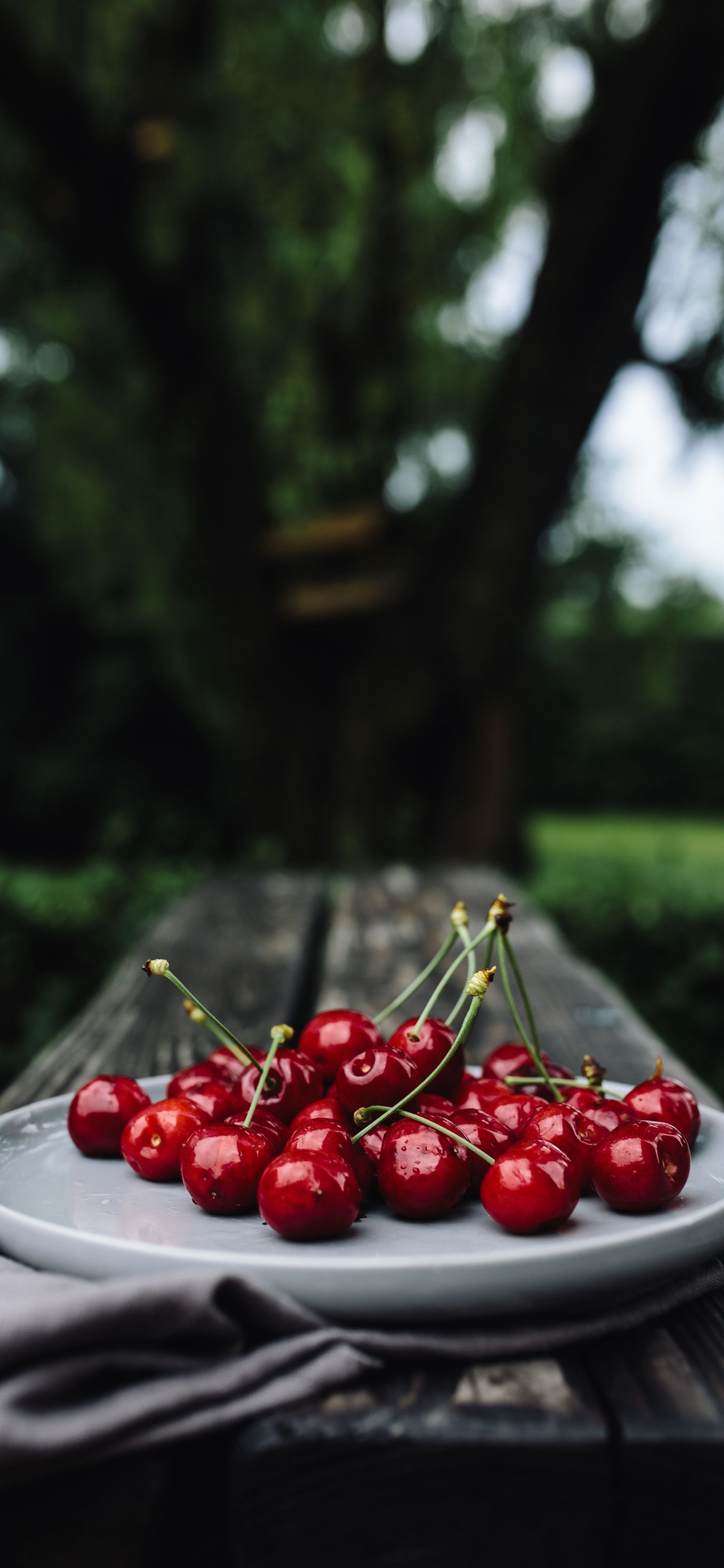 Обои вишня, фрукты, пища, красный цвет, ягоды в разрешении 1242x2688