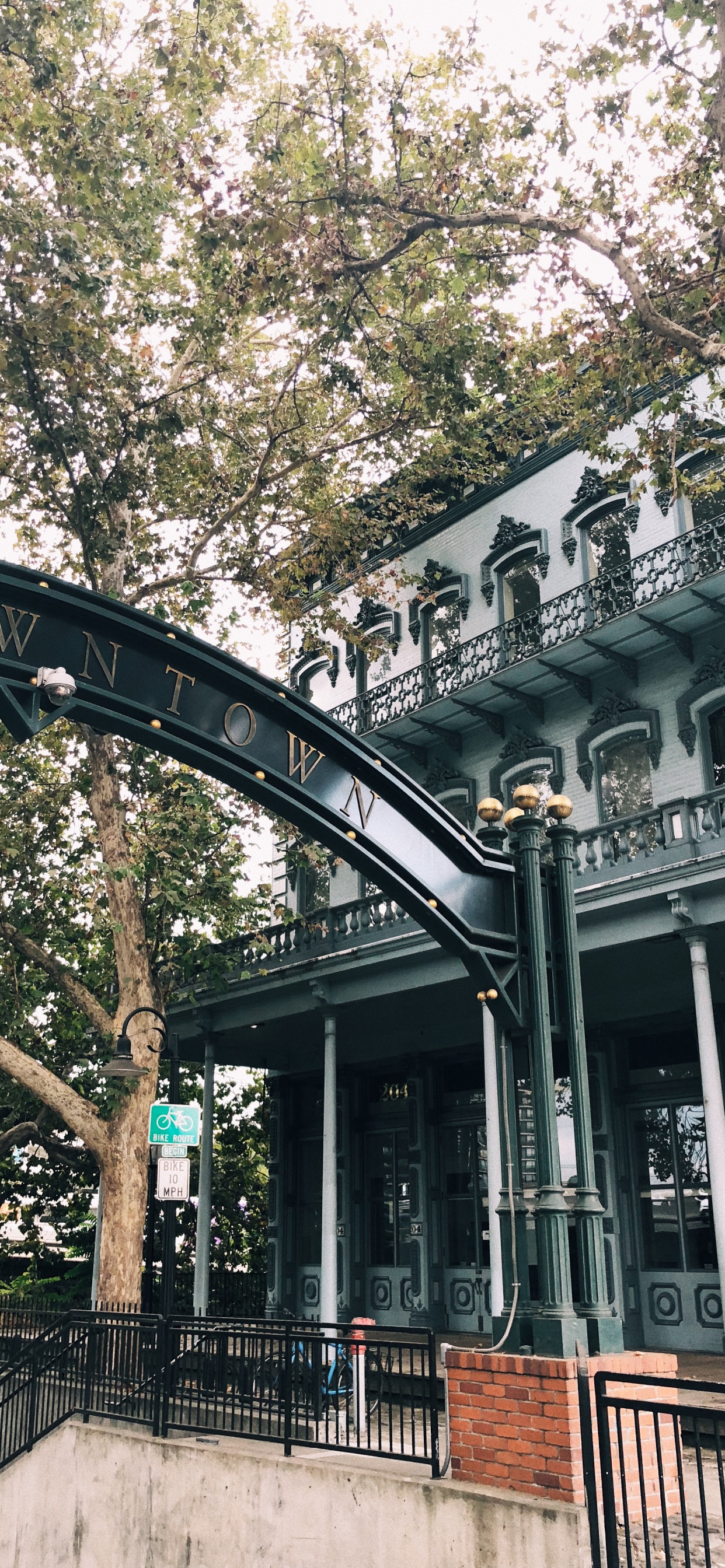 Обои ориентир, биология, наука, ветвь, архитектура в разрешении 1242x2688