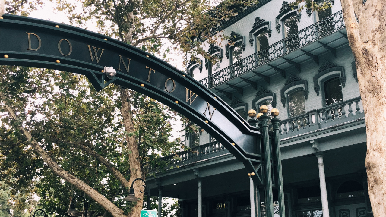 Обои ориентир, биология, наука, ветвь, архитектура в разрешении 1280x720