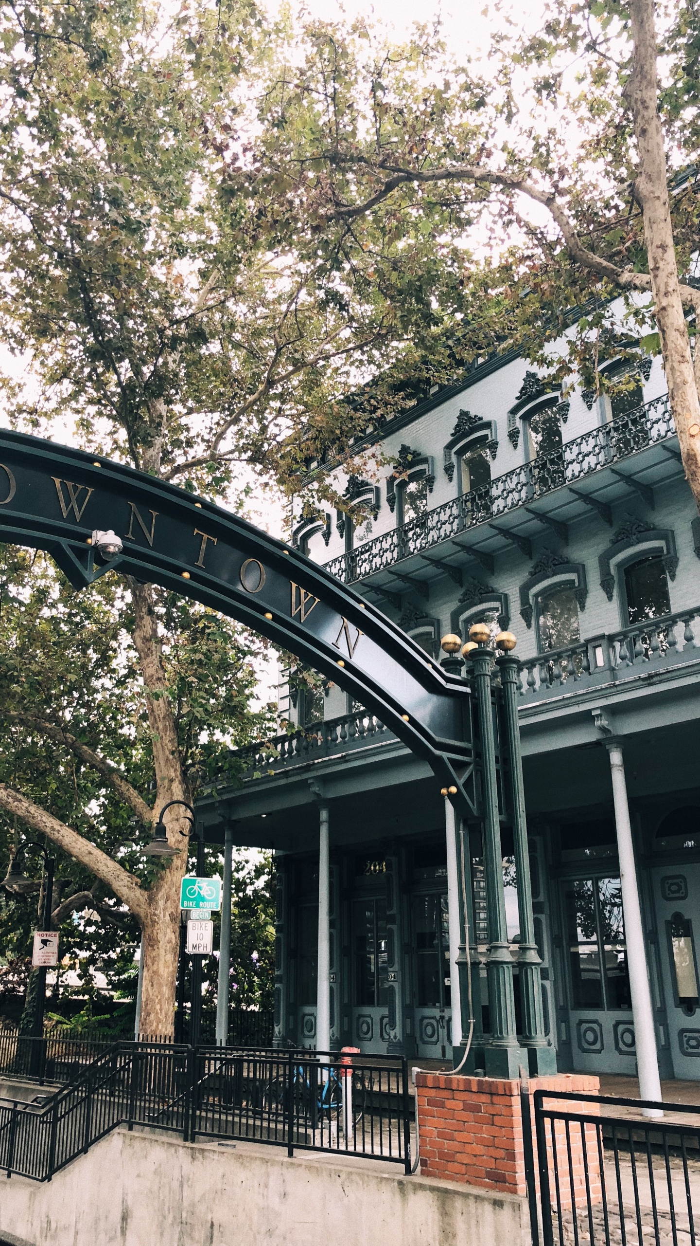 Обои ориентир, биология, наука, ветвь, архитектура в разрешении 1440x2560