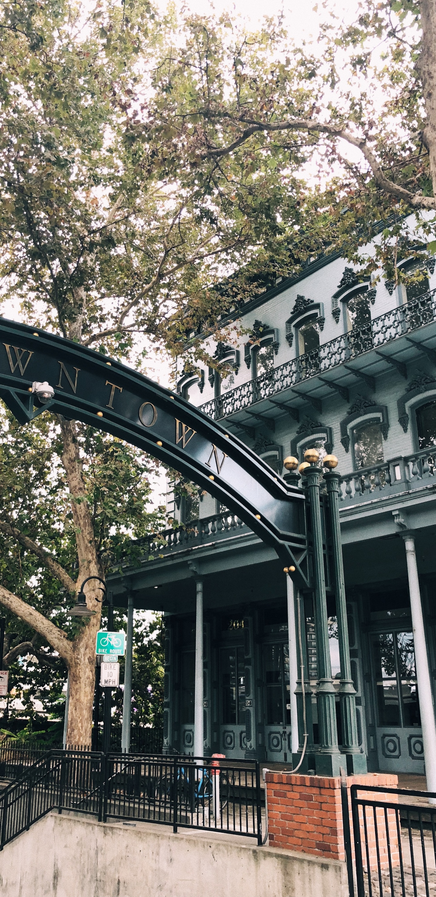 Обои ориентир, биология, наука, ветвь, архитектура в разрешении 1440x2960