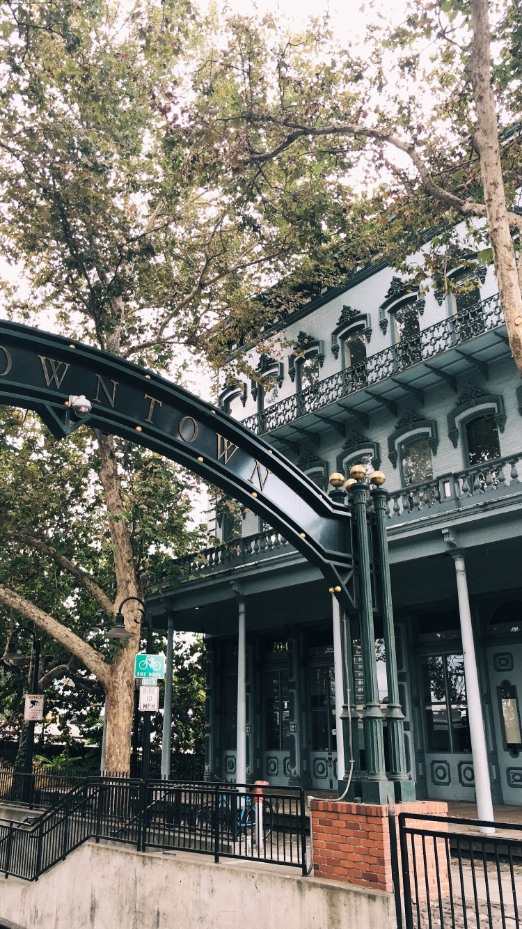 Обои ориентир, биология, наука, ветвь, архитектура в разрешении 750x1334