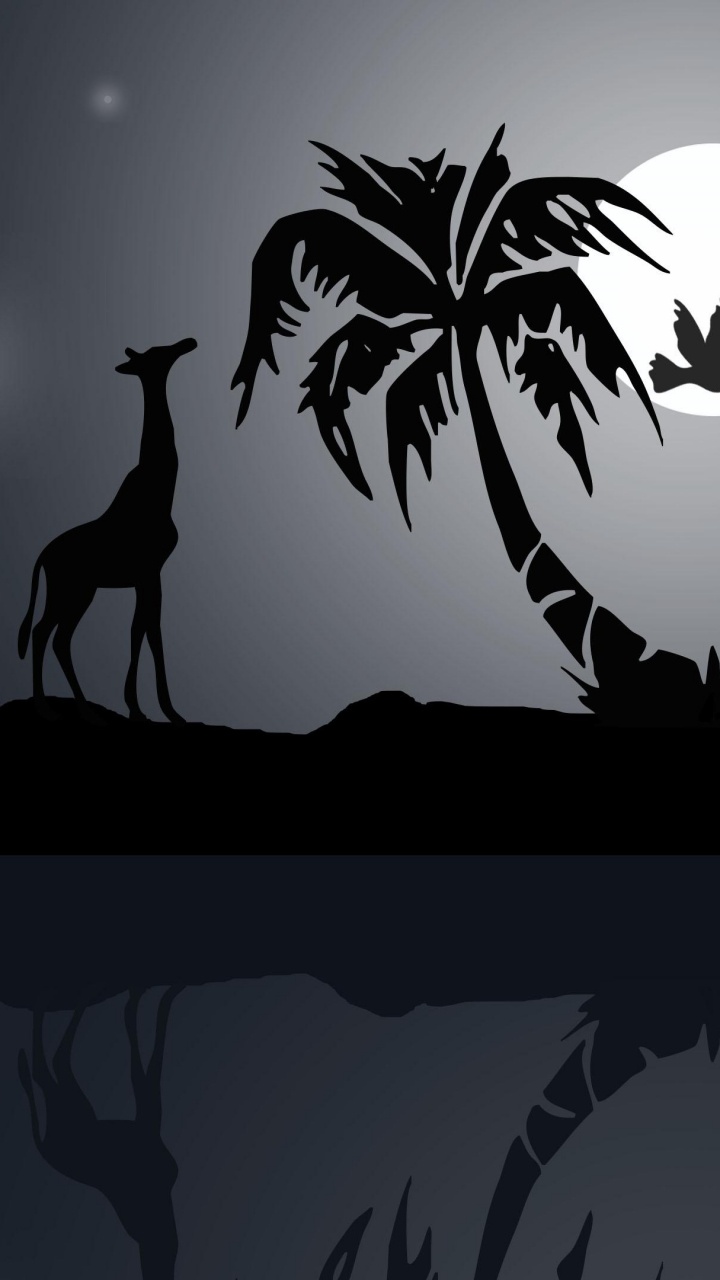 Обои лунный свет, атмосфера, арт, астрономический объект, птица в разрешении 720x1280