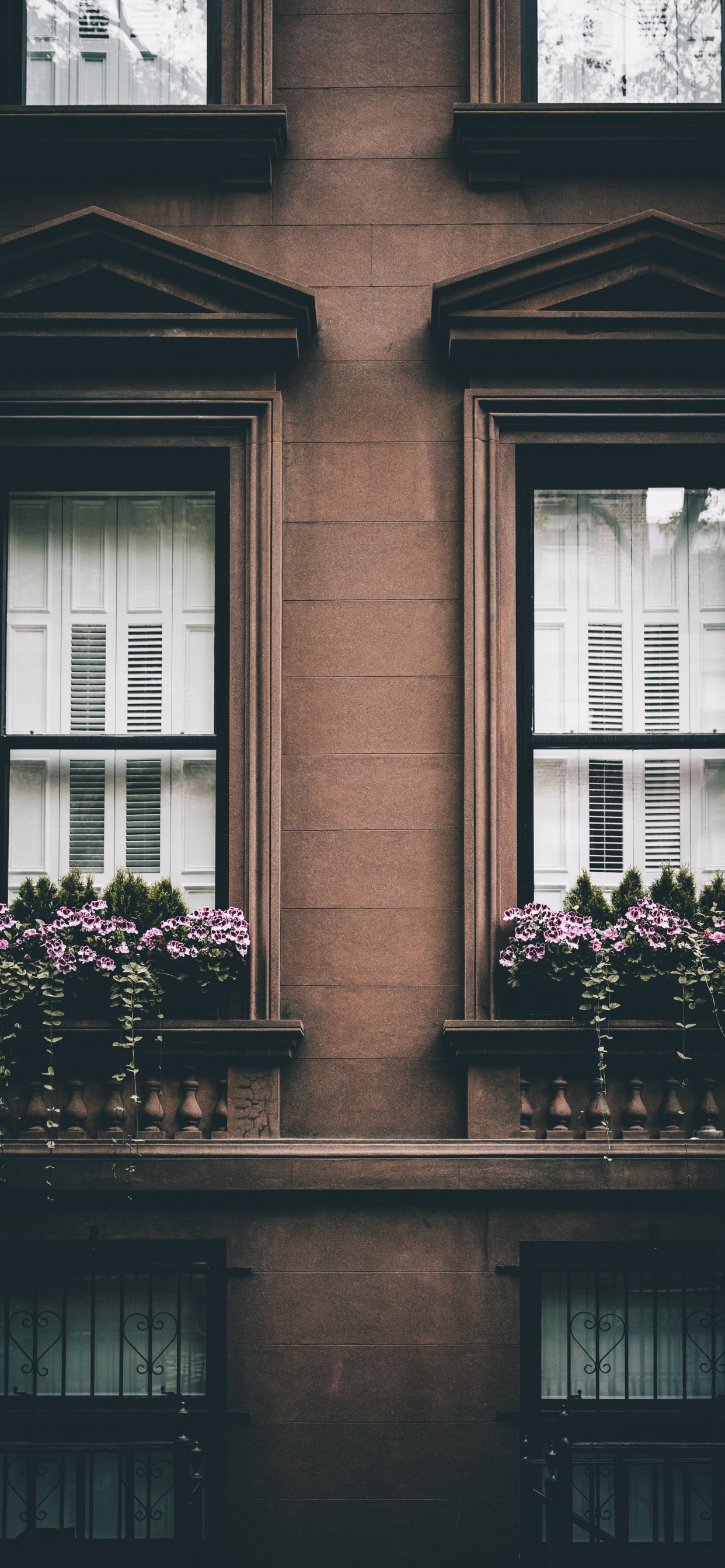 Обои фасад, розовый, окно, счастье, Хаус в разрешении 1242x2688