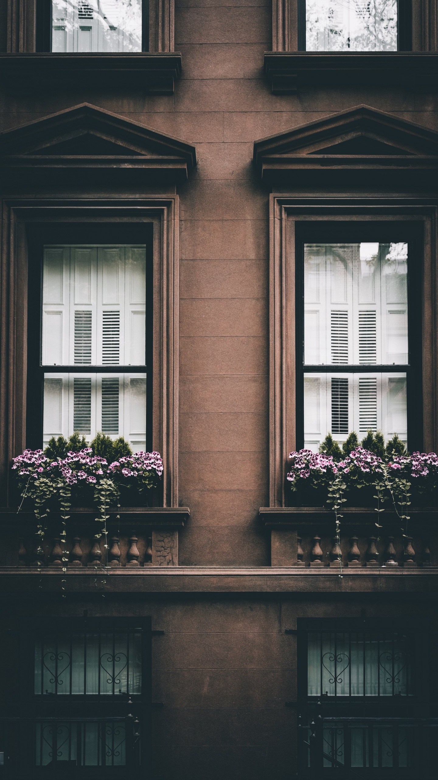 Обои фасад, розовый, окно, счастье, Хаус в разрешении 1440x2560