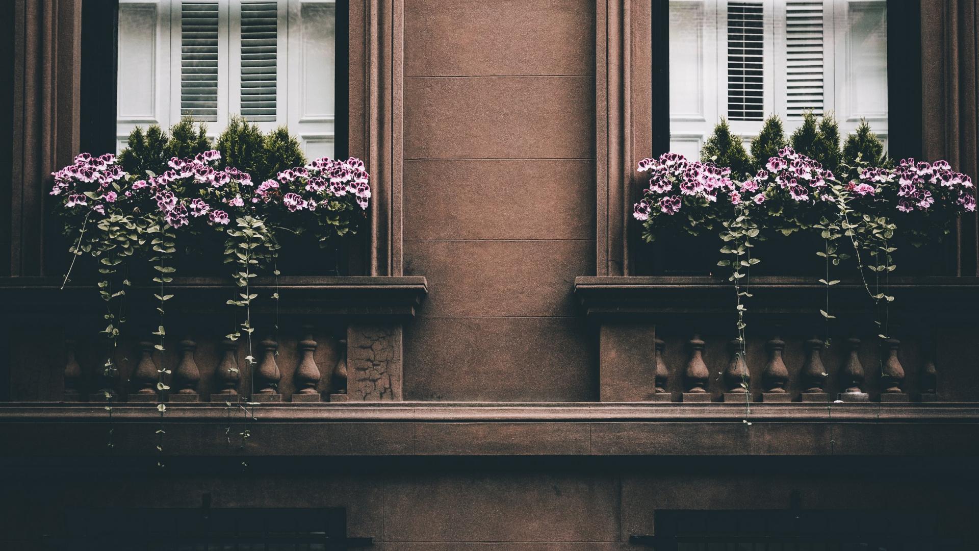 Обои фасад, розовый, окно, счастье, Хаус в разрешении 1920x1080