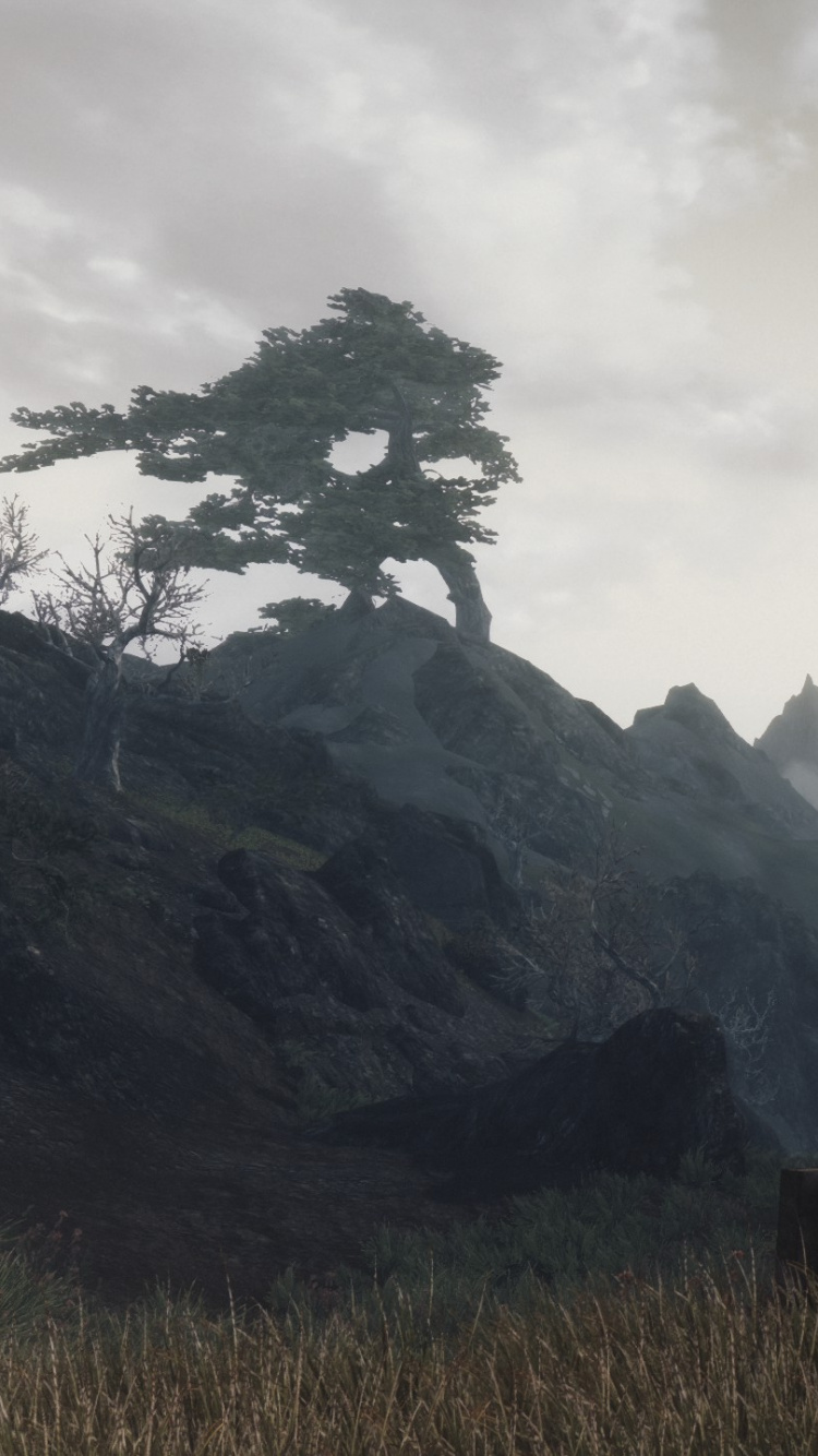 Обои the elder scrolls v skyrim, горный рельеф, нагорье, гора, горный хребет в разрешении 750x1334