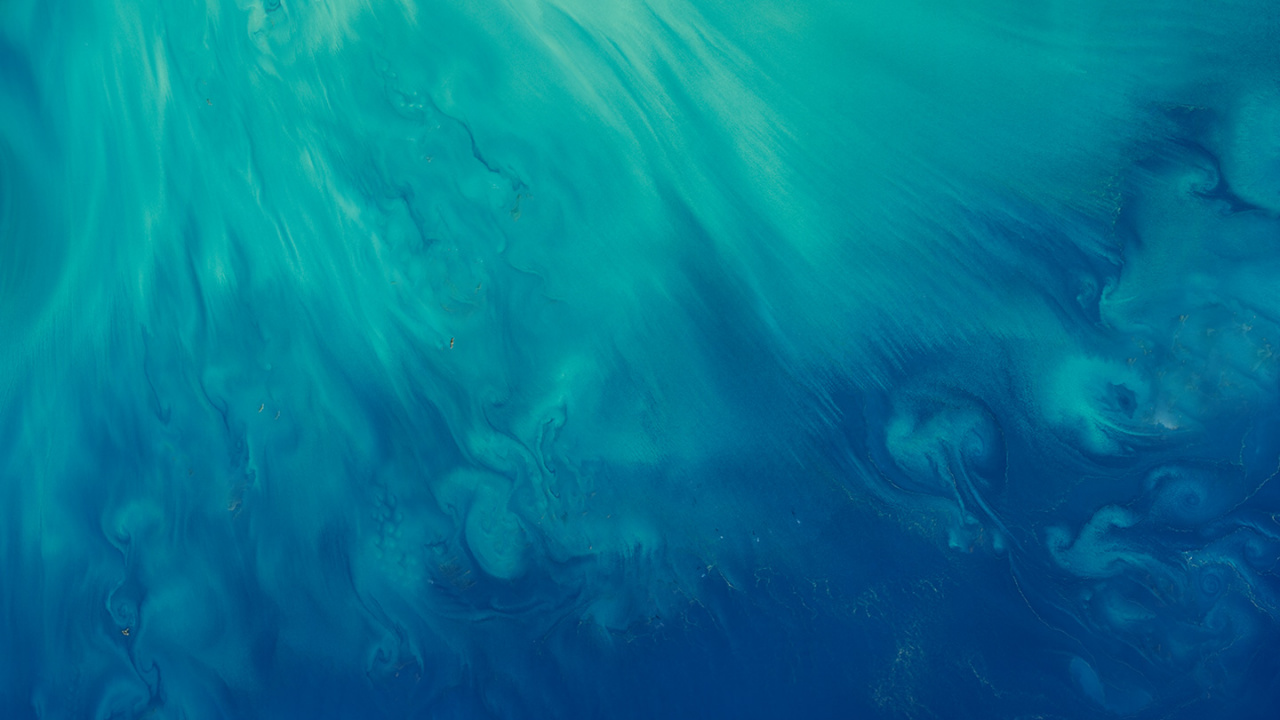 Обои ZTE, ZTE MiFavor, вода, яблоко, синий в разрешении 1280x720