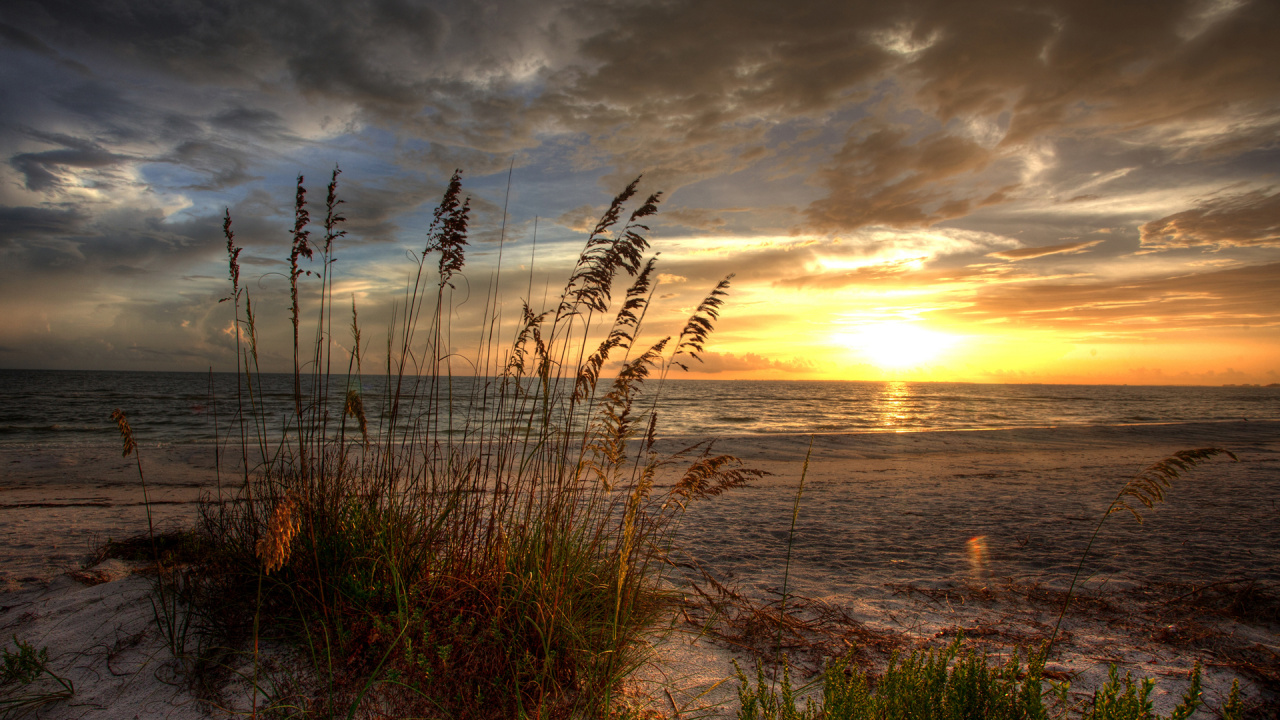 Обои восход солнца, закат, горизонт, облако, утро в разрешении 1280x720