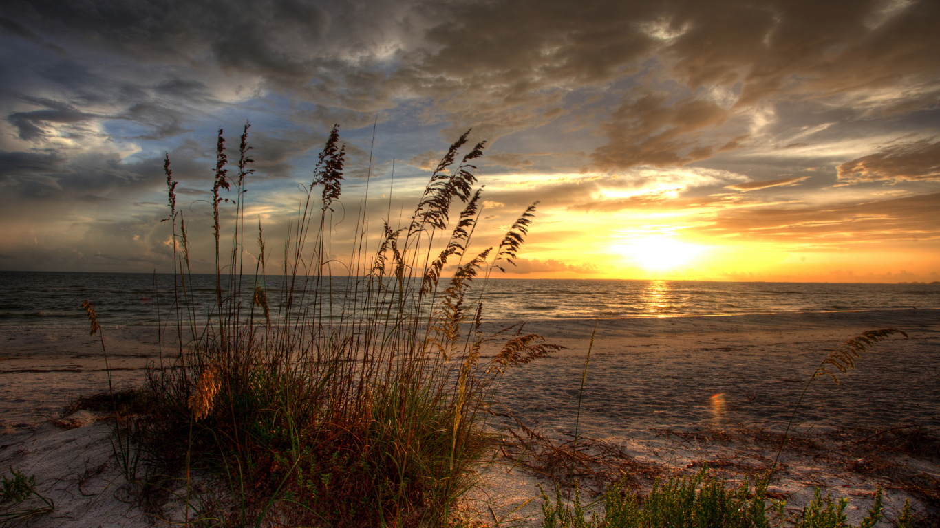 Обои восход солнца, закат, горизонт, облако, утро в разрешении 1366x768