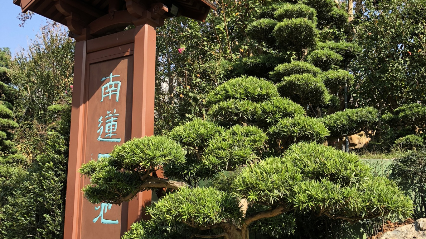 Обои Гонконг, дерево, растение, сад, вечнозеленое растение в разрешении 1366x768