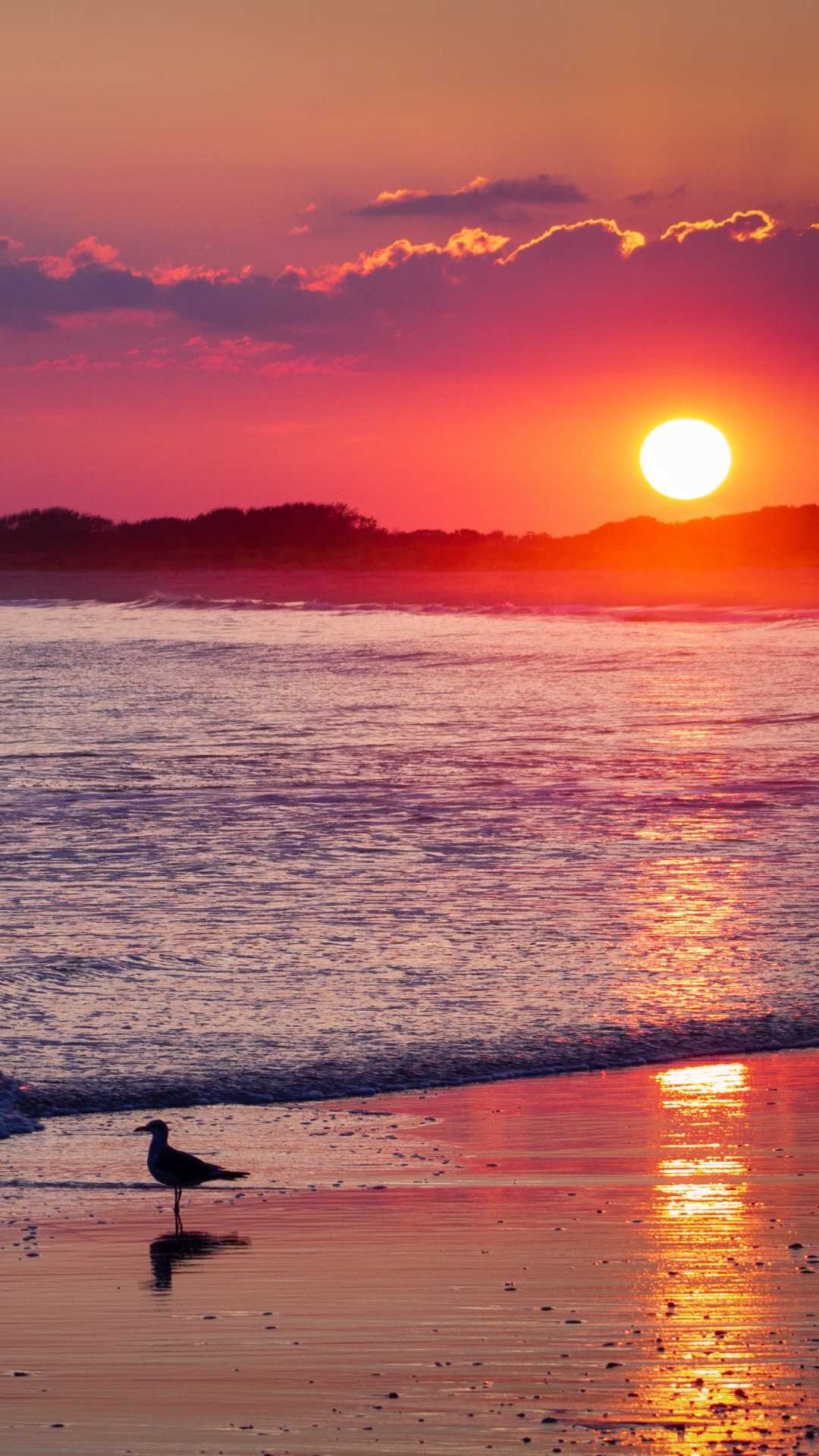 Обои пляж, закат, горизонт, послесвечение, восход солнца в разрешении 1080x1920
