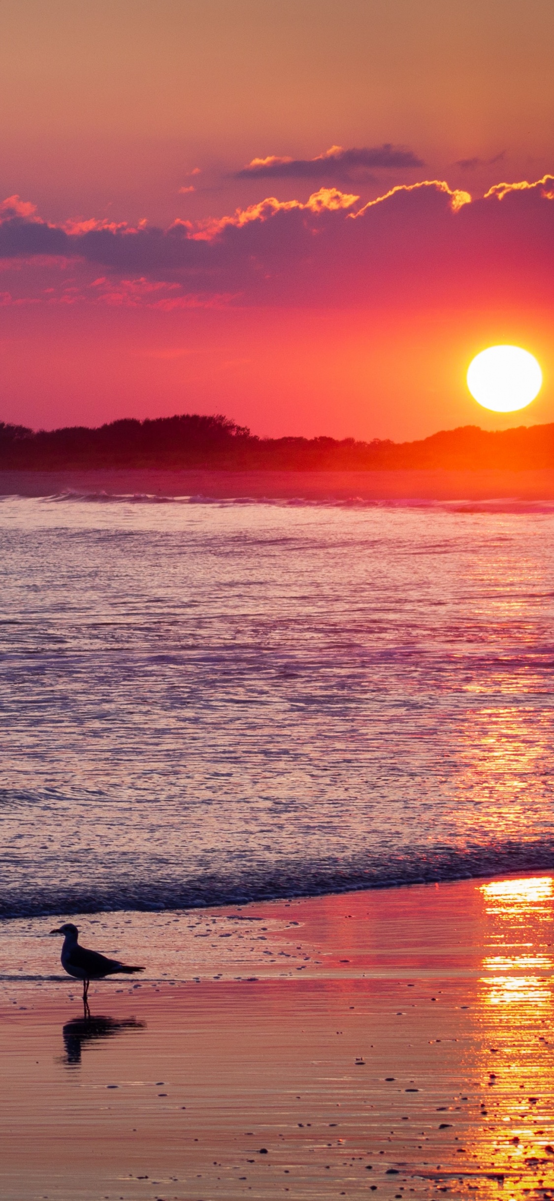 Обои пляж, закат, горизонт, послесвечение, восход солнца в разрешении 1125x2436