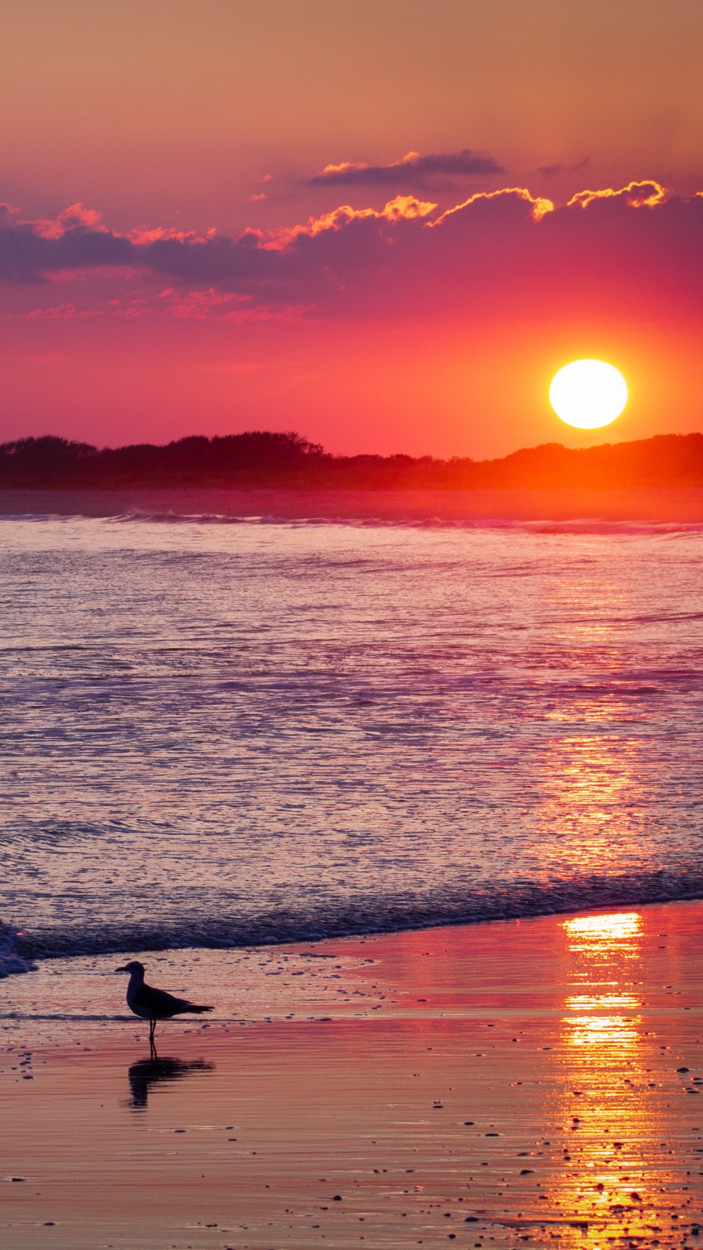 Обои пляж, закат, горизонт, послесвечение, восход солнца в разрешении 1440x2560