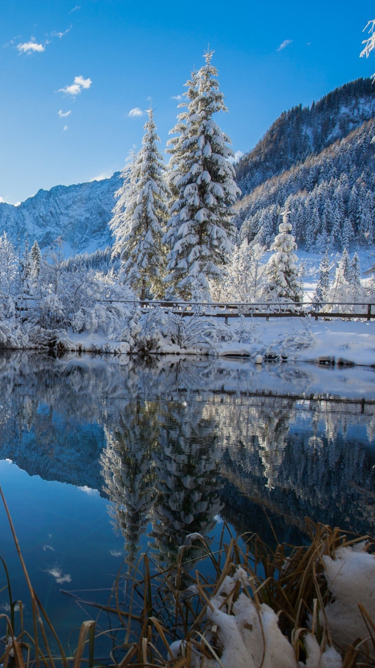 Обои отражение, озеро, снег, природа, зима в разрешении 750x1334