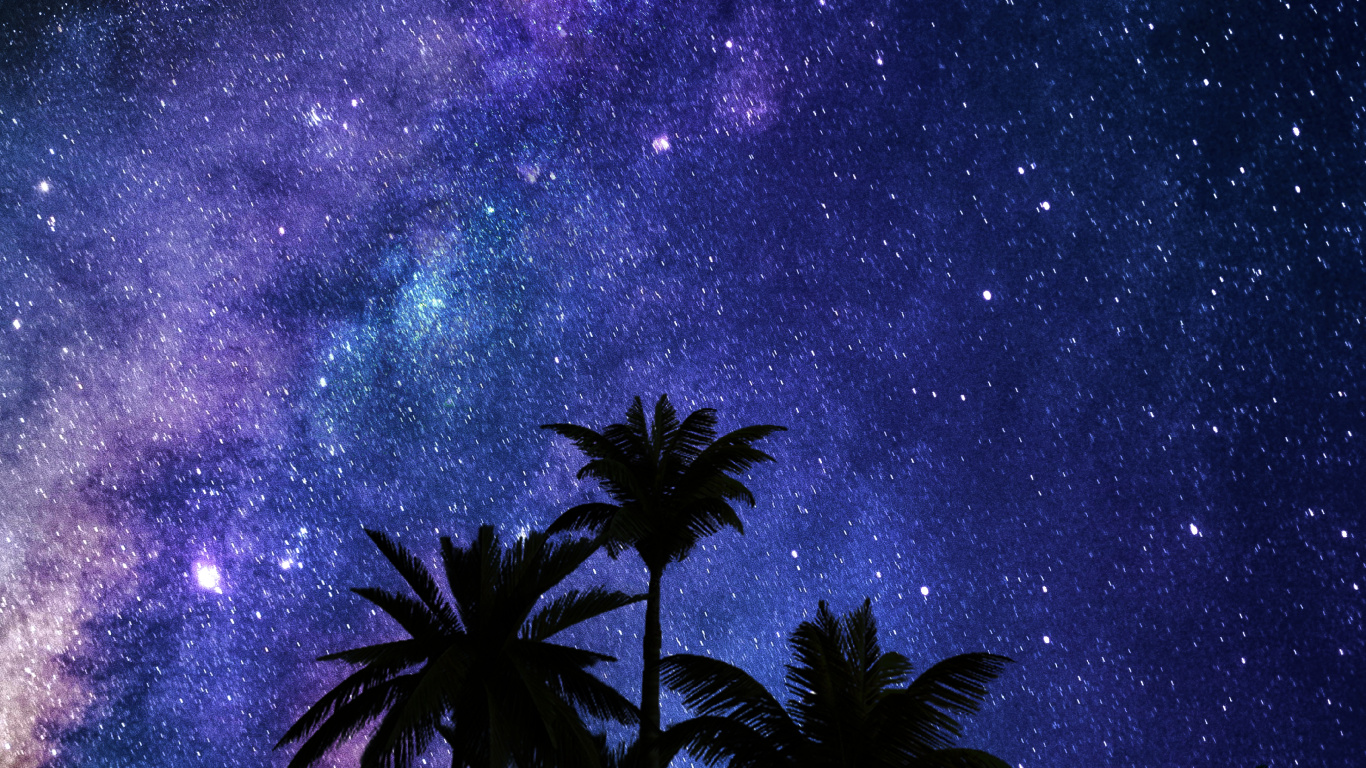 Обои Млечный Путь, Астрономия, облако, атмосфера, растение в разрешении 1366x768