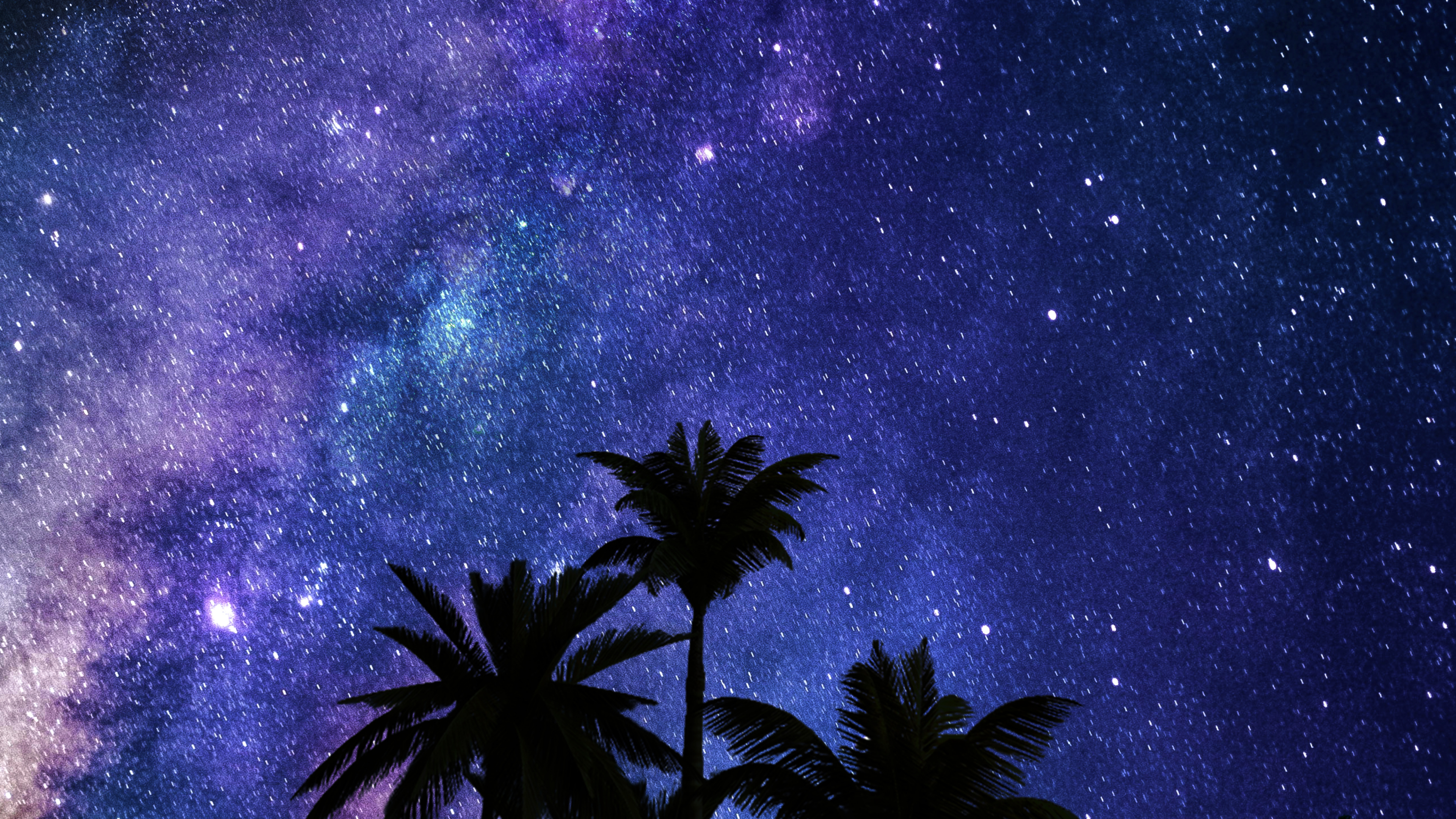 Обои Млечный Путь, Астрономия, облако, атмосфера, растение в разрешении 3840x2160