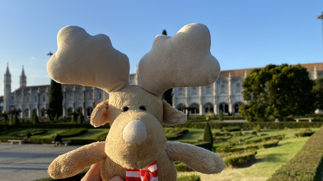 Обои туризм, мягкая игрушка, игрушка, плюш, хедж в разрешении 1366x768